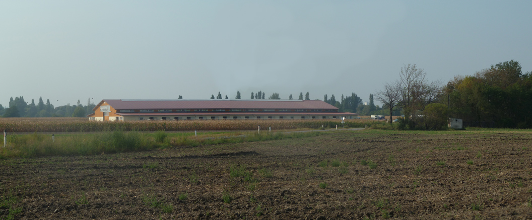 Rückseite